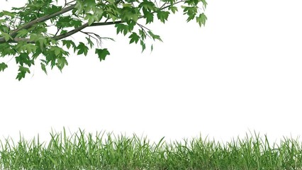 Wall Mural - footage of tree branches animation with grass row, 3d illustration rendering 