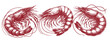 shrimp prawn seafood hand drawn line art Etchings