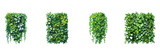 Fototapeta  - green grass. Green wall, living wall, eco design clipart vector illustration set