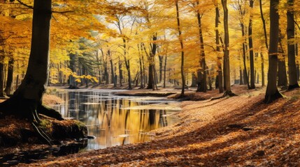 Poster - A picturesque autumn forest with colorful foliage of trees and a lake on a sunny day. Seasons, Nature, Park, Landscape concepts.