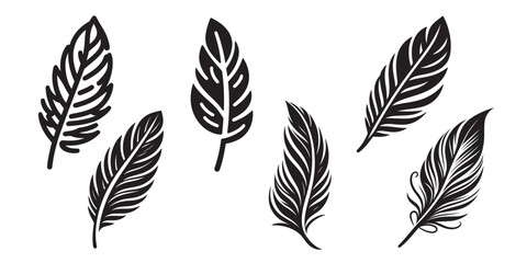 Wall Mural - set of black feathers on a white background. feather icon vector illustration.