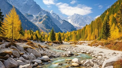 Poster - A picturesque Beautiful Autumn Landscape with colorful yellow and green trees, a mountain River with rocks near high snowy Mountains against a blue sky on sunny day. Horizontal Banner, Seasons, nature