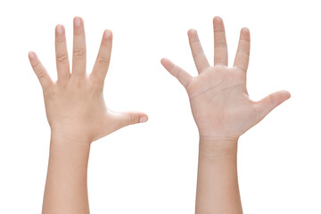 Wall Mural - Child hand shows five fingers isolated on transparent background. PNG File