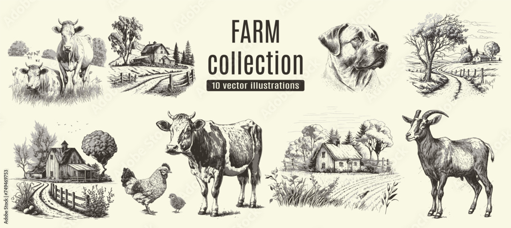 Rural meadow or countryside farm set. A village landscape with cows ...