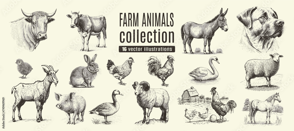 Rural meadow or countryside farm set. A village landscape with cows ...