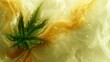 Legalisierung, Cannabis, Pflanze, grün, THC, Freiheit