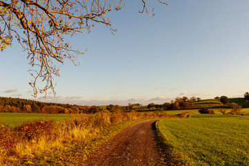 Canvas Print - Landscape with a road, Bidford-on-Avon, Warwickshire, England