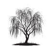 A Weeping Willow Tree Silhouette - Evoking Emotions of Serenity and Sorrow - Illustration of Willow Tree - Vector of Willow Tree - Silhouette of Willow Tree
