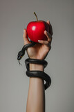 Fototapeta Most - Red apple, black snake, hand of woman. Temptation concept. Hand of Eve holding a red fruit and a snake coiled up her arm. Freewill. Fruit of good and evil. Disobedience concept. Isolated background.