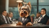 Fototapeta Uliczki - Canine Executive: Yorkshire Terrier Dressed Sharp in Business Attire Leading Boardroom Discussion