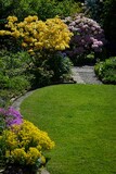 Fototapeta Kwiaty - Schöner Garten im Mai mit Azalee und Rhododendron