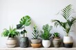 Indoor plant collection Exotic greenery Minimalist home decor Sustainable living Botanical arrangement