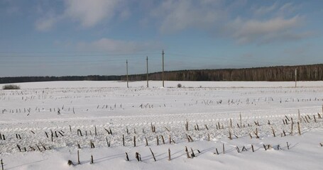 Wall Mural - drifts of white snow in sunny weather, beautiful fresh snow after a snowfall in clear weather