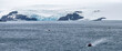 Antarctic glacier and boat