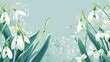snowdrop flowers on green background
