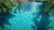 Ein Stück Paradies: Karibischer Pool umgeben von Palmen