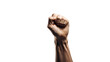 © Z-Design - Raised fist isolated on a transparent background