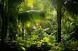 Tropical Green Palms in Lush Forest - Exotic Plant Foliage in Garden