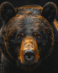 Wall Mural - a close up image of a bear, nature photography, generated with AI