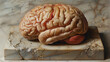 Peinture hyperréaliste d'un cerveau humain sur une plaque en marbre, intelligence des philosophes et penseurs antiques