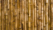 Textura de bambus - Papel de parede 