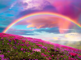 Fototapeta  - A vibrant rainbow arcing over a freshly bloomed field, symbolizing hope and renewal after a spring storm