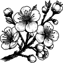 Wall Mural - Apple blossom branch black outline vector illustration.