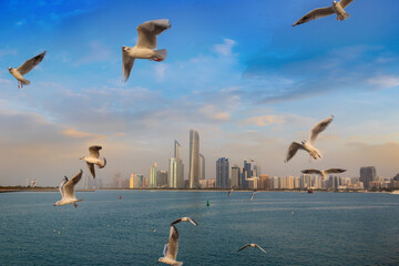 Wall Mural - Seagulls and Abu Dhabi