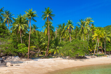 Sticker - Tropical beach at summer day