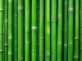 Fototapeta Sypialnia - image of green bamboo texture, wallpaper on the wall, full screen.