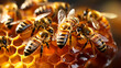 Close-up photography of bees in hive