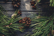 christmas tree branches with pine cones on rustic background top view