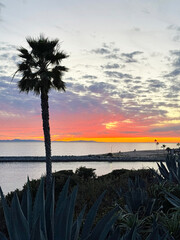 Wall Mural - Sunset in Corona Del Mar, Newport Beach, California 