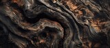 Fototapeta Desenie - This close-up view showcases the intricate details of a tree trunk, highlighting the unique patterns and textures of the wood. The bark is rough and uneven, with visible cracks and crevices running