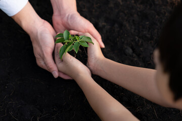 Wall Mural - Businessman grow and nurture plant on fertilized soil with young boy as eco company committed to corporate social responsible, reduce CO2 emission and embrace ESG principle for sustainable future.Gyre