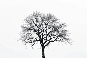 Aufkleber - Solitary tree in a snowy landscape, suitable for winter themes