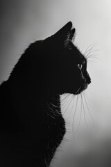 Poster - A striking black and white portrait of a cat, suitable for various design projects