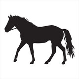 Fototapeta Konie - Horses silhouette vector illustration,Horse silhouettes