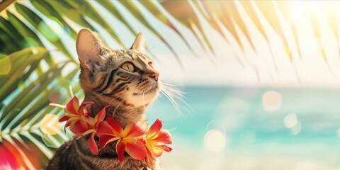 Wall Mural - Stylish cat with hawaiian costume on tropical sea and beach blurred background. Summer fashionable trend style