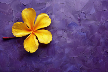  Yellow flower on solid purple background with copy space.