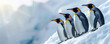 Penguins climbing a corporate ladder career advancement and teamwork