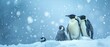 Emperor penguins huddled against a blizzard, ice blue background