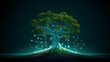 Growing internet startups, green trees growing from data and information networks