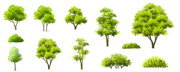 Vertor set of green tree,plants side view for landscape elevations,element for backdrop,eco environment concept design,watercolor greenery scene