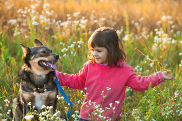 Happy little girl and dog are best friends. A girl plays with a dog in a flower meadow