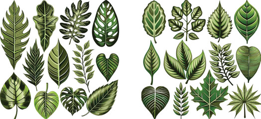 Wall Mural - Set of tropical leaves vector