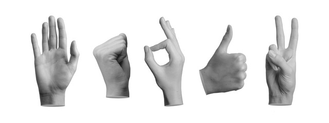 Wall Mural - Hand gestures set. Hi, greeting, fist up, okay, thumb up, victory expressions isolated on white, transparent png