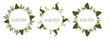 Avocado illustration set, graphic element for designer, logo, sticker, sign and symbol, frame, jar sticker