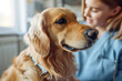 A close-up of a dog being vaccinated against diseases in an animal clinic, with a blurred image of a female veterinarian checking the dog's condition.