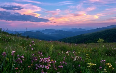 Poster - A high mountain meadow with wildflowers, under a sky streaked with the colors of the dawn